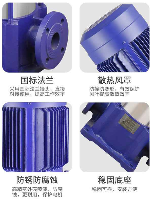 2XZ直联双级旋片式真空泵