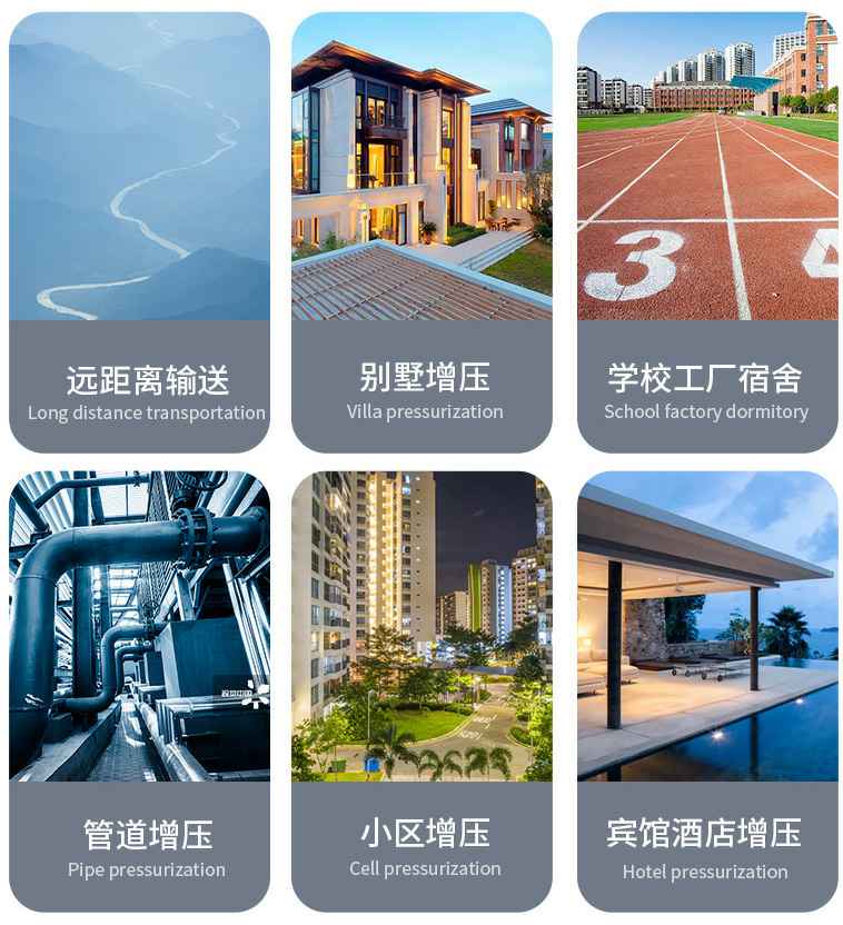 2XZ直联双级旋片式真空泵